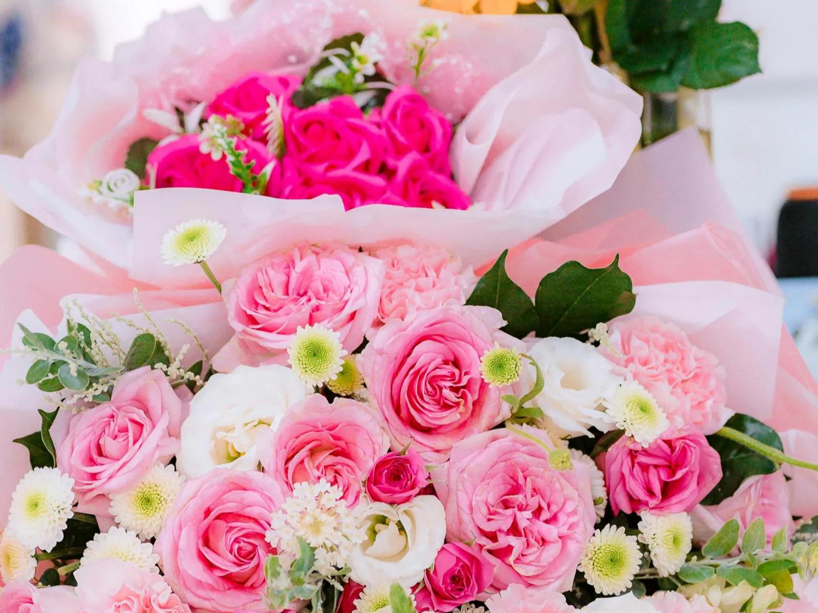 Pink Peony