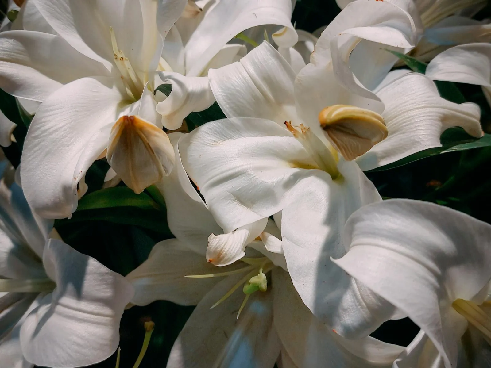 Memorial Spray