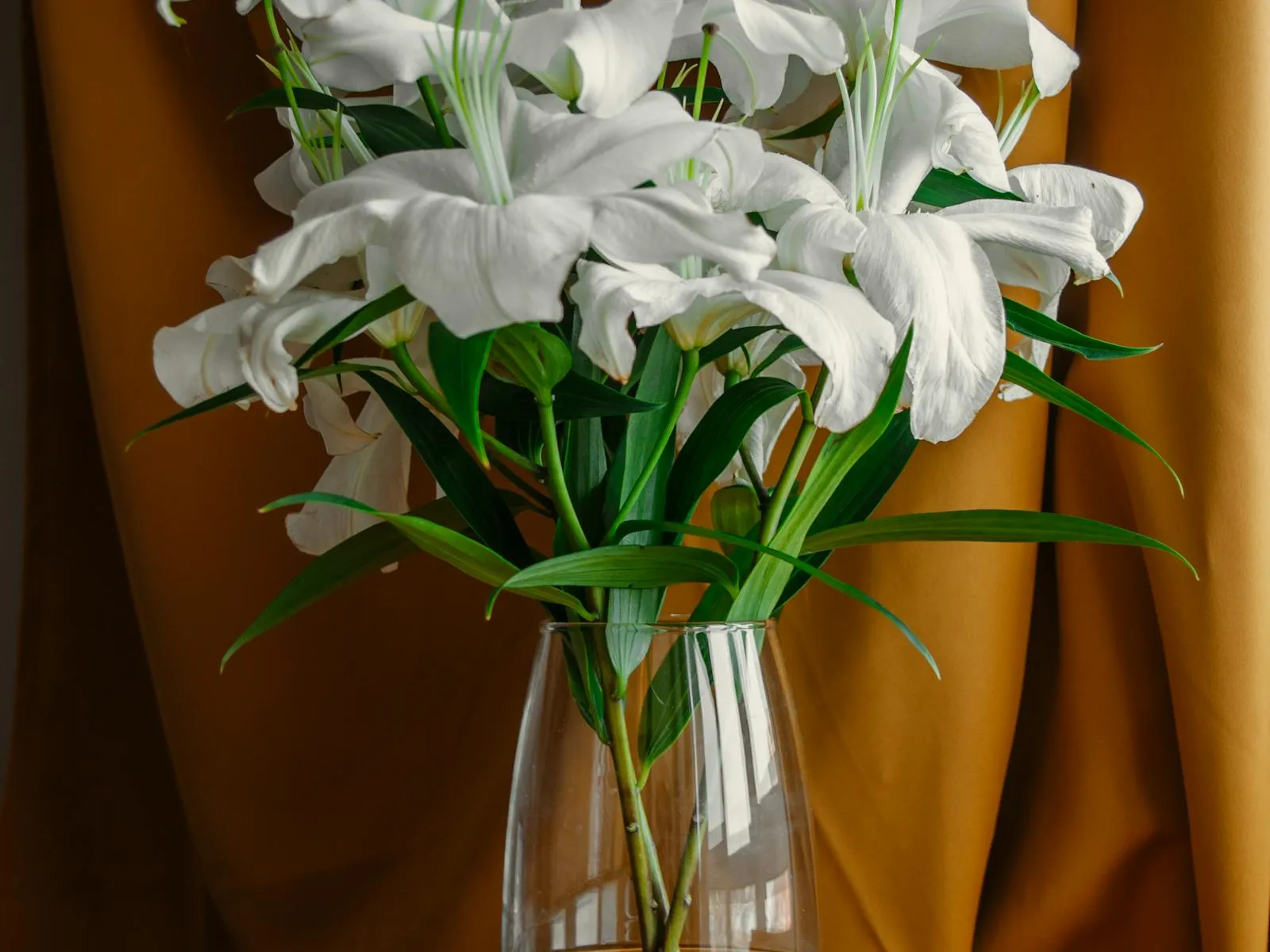 Garden Sympathy